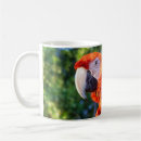 Search for cute parakeet mugs Pet