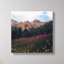 Search for white daisy canvas prints Plant