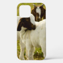 Search for goats iphone cases Livestock