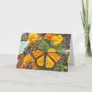 Recherche de papillon monarque vœux cartes Insectes