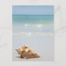 Search for single object postcards No people