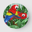 Recherche de aras horloges Animaux