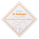 Search for vet accessories Cat