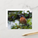Recherche de pinson Oiseaux de jardin