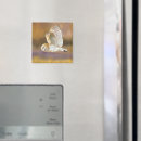 Search for owl magnets Pastel