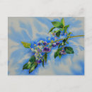 Recherche de bleuets cartes postales Fruit
