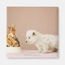 Search for biscuits magnets Animal