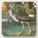 Search for john audubon coasters Julius bien