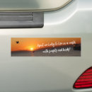Search for seagull bumper stickers Sunset