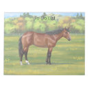 Recherche de notes quartes Quart de cheval