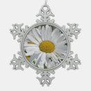 Search for daisy ornaments Nature