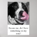 Search for noses posters Humour