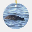 Recherche de phoques ornements Vie marine
