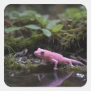 Recherche de axolotl mexicain autocollants Amphibien