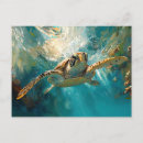Search for digital turtles postcards Sea turtle