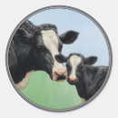 Search for holstein cows stickers Dairy cow