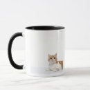 Search for scottish fold mugs Animal