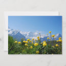 Search for swiss flowers cards Mountain