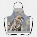 Search for hawk aprons Bird of prey