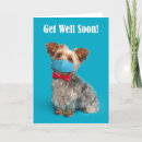 Search for cute yorkie cards Dog