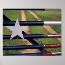 Search for texas flag posters Star