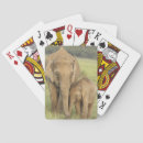 Recherche de éléphants jeux de cartes L'inde
