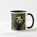 Search for temperate mugs Pete oxford