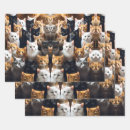 Search for meow wrapping paper Kitty