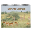 Search for antelope calendars Safari