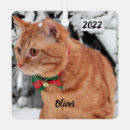 Search for snow ornaments Pet