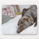 Search for bed mousepads Sleeping