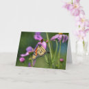 Recherche de papillon monarque vœux cartes Nature