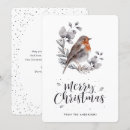 Search for robin watercolor cards Bird