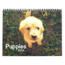 Search for golden retriever office supplies Puppies