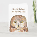 Search for grumpy owl Bird