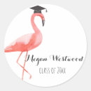 Search for funny flamingo Graduation