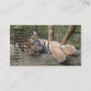 Recherche de sommeil cartes visite Animal