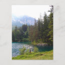 Search for forrest postcards Trees