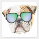 Search for funny english bulldog stickers Dog lover