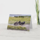 Search for digital bison cards Bull