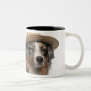 Search for straw mugs Studio shot
