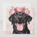 Search for black labs cards For her