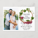 Recherche de raisins vigne cartes postales Vin rouge