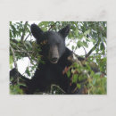 Recherche de fumée noire cartes postales Adorable