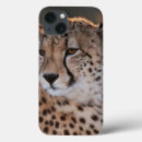 Search for cheetahs ipad cases Colour image