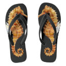 Search for fish sandals Under the sea