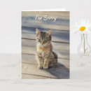 Search for apology love cards Cute