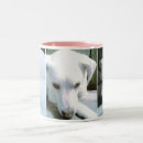 Recherche de images de chiot tasses Amoureux des chiens