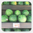 Search for corners stickers Green
