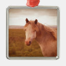 Search for countryside ornaments Beautiful